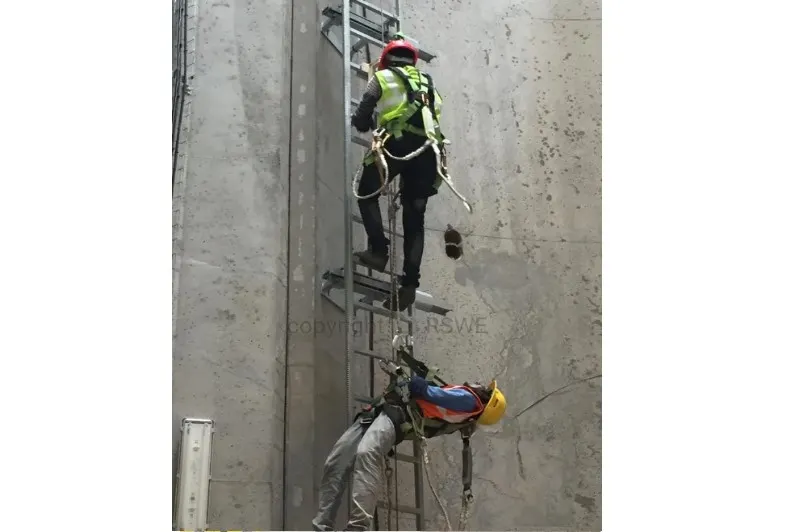 GWO Training 2